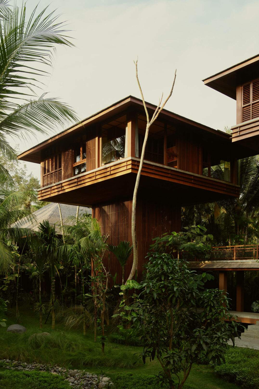 Elevated wooden house surrounded by tropical greenery