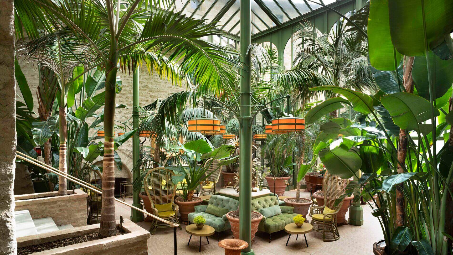 A large greenhouse with a variety of plants and chairs.