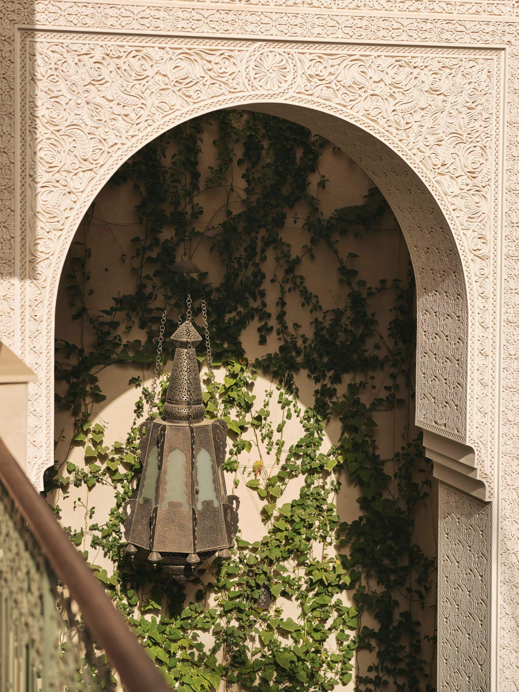 A light hanging from the ceiling in a room with a green vine growing on the wall.