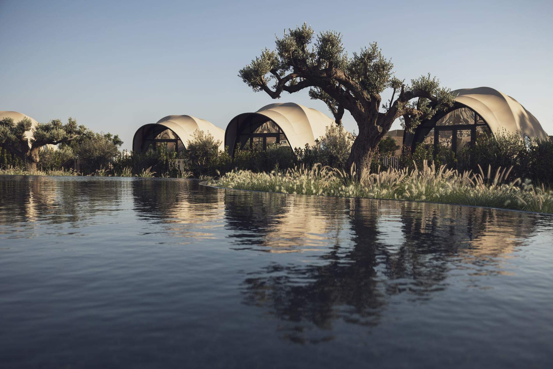 A reflection of a tree in a body of water.