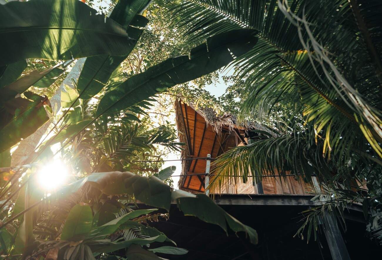 A hut in the jungle with a thatched roof.