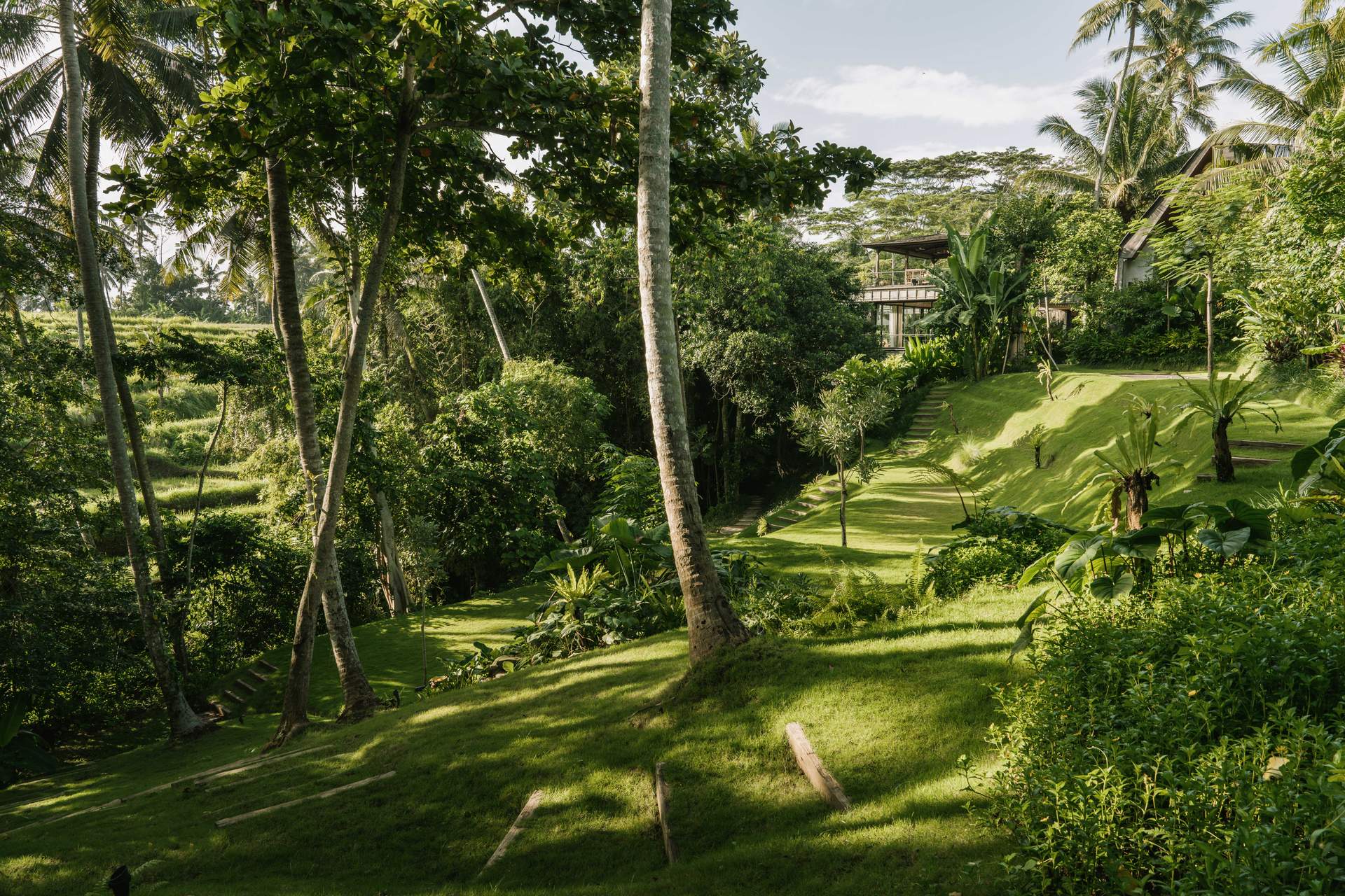 A lush green hillside with a path leading to a house.