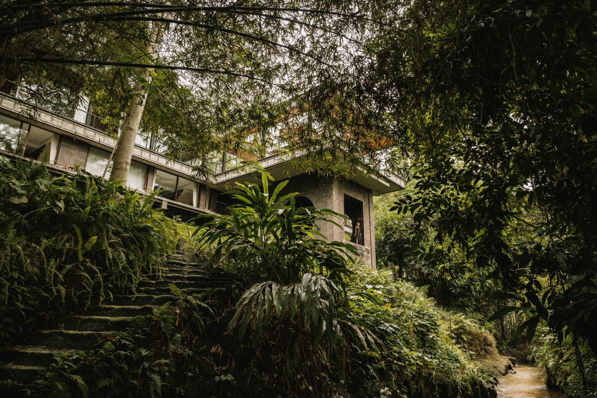 A house with a large tree in front of it.