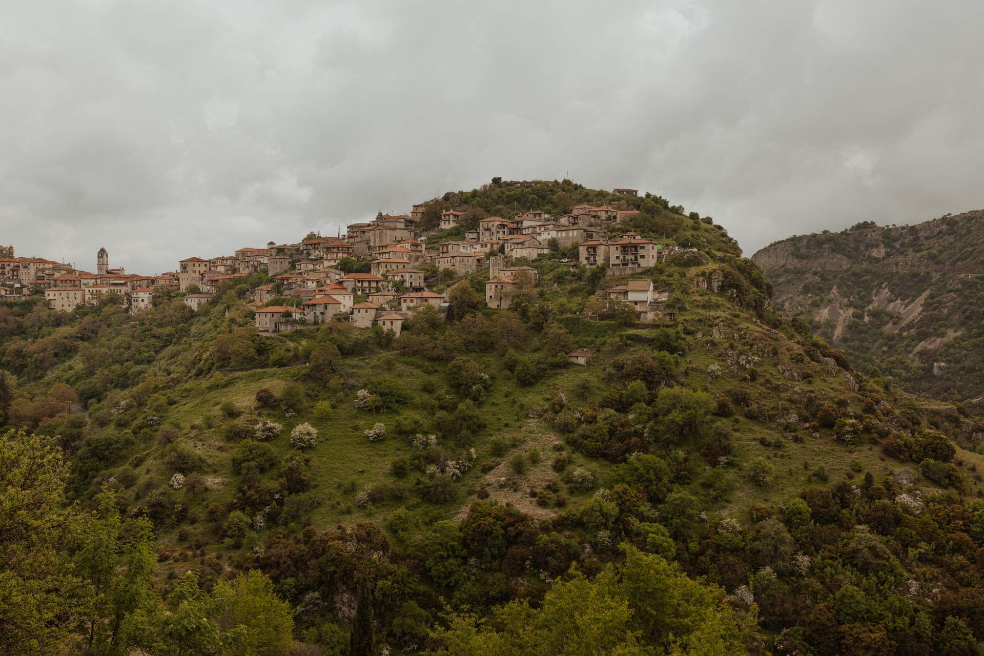 A hillside with a village on top of it.