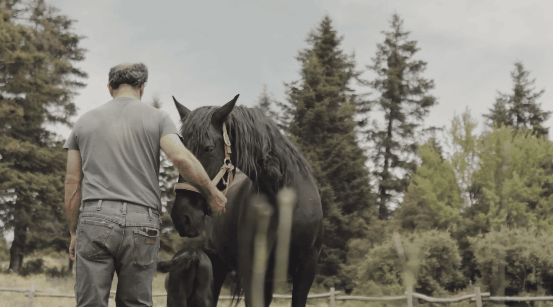 A man petting a horse in a field.