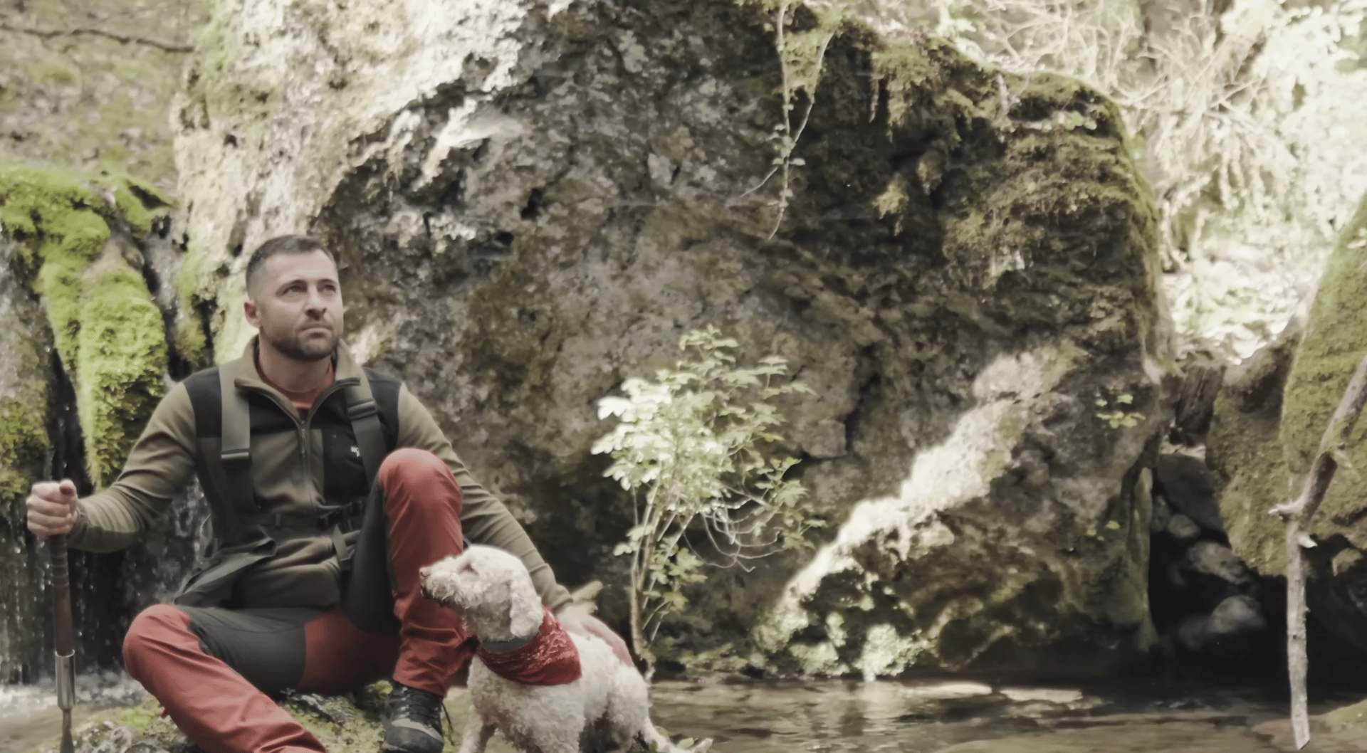 A man and two dogs sitting on a rock in a forest.