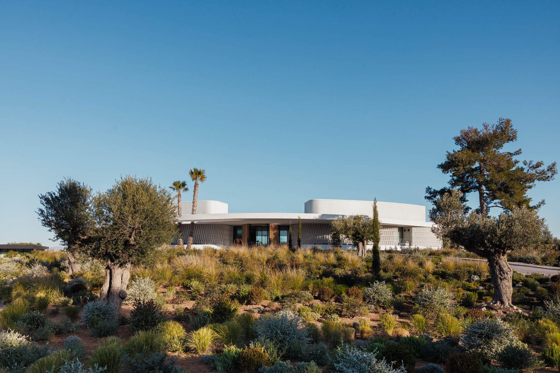 A large white building with a round roof and a tree in front of it.